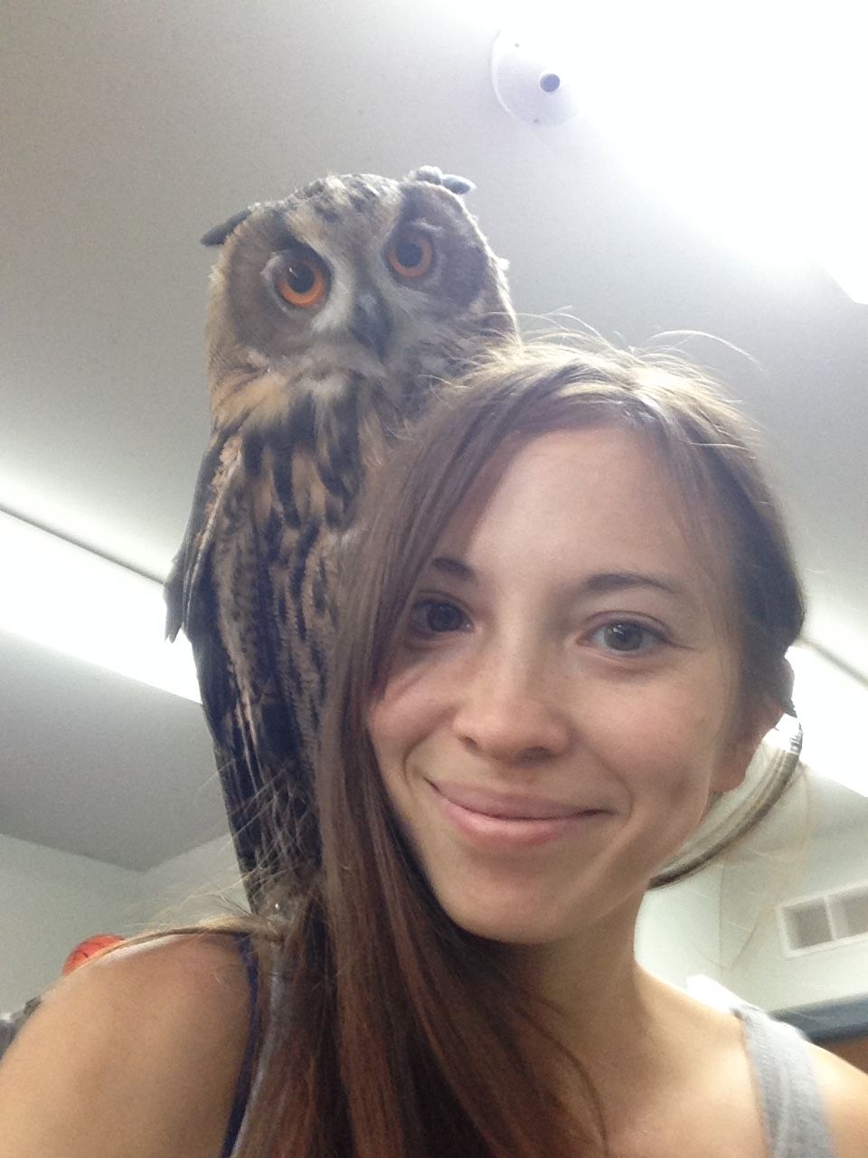 Amanda with a young owl during a volunteer session at an animal rescue.